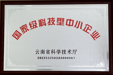 国家级科技型中小企业 国家级科技型中小企业