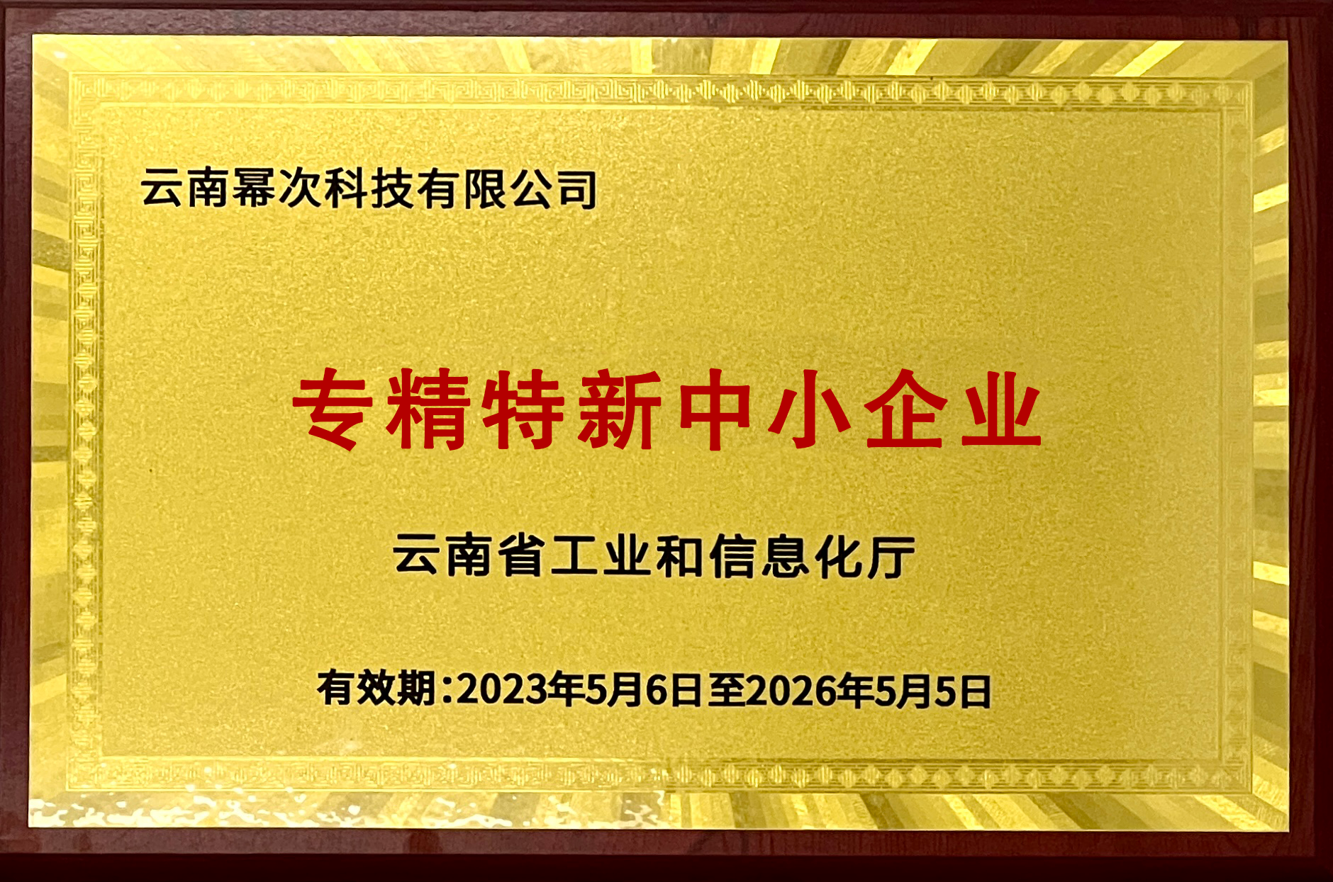 专精特新中小企业 专精特新中小企业